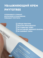 Крем увлажняющий Phytotree Phyto seed cream, 100 мл