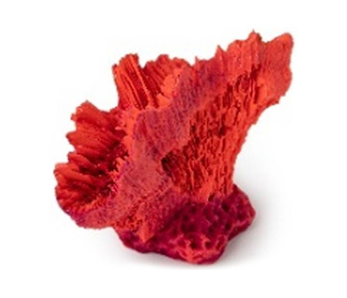 Кр-1125 Акропора красный 10*4*7