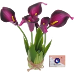 Цветочная композиция «Весенняя рапсодия» 15*30см Каллы фиолетовые