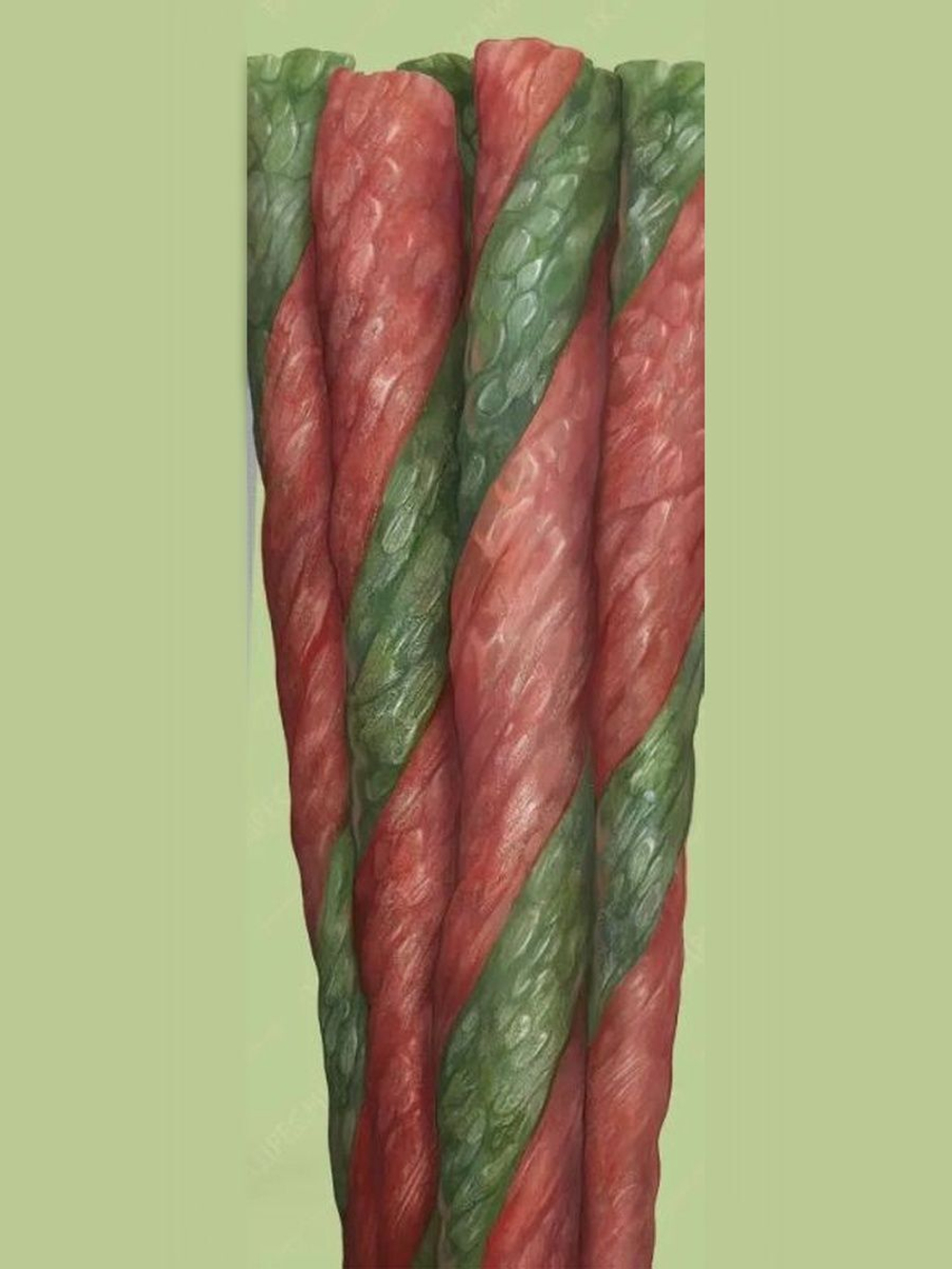 Роллы для чистки зубов собак с говядиной "Чистим зубы. Деревенские лакомства" набор из 8 упаковок по 0,1кг