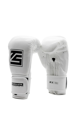 Перчатки для бокса Tomorrow Star MX белые