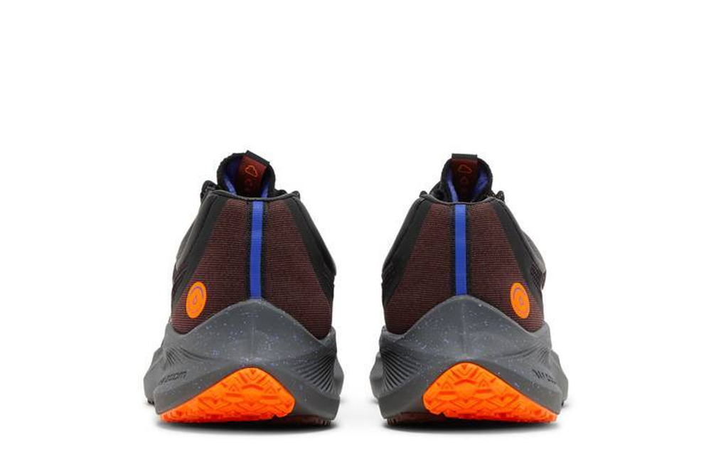 Кроссовки Nike Zoom Winflo 8 Shield