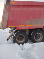 MAN TGS 8x8 Самосвал БЦМ-59 	(Дизельный, 12,4 л, 480 л.с., АТ)