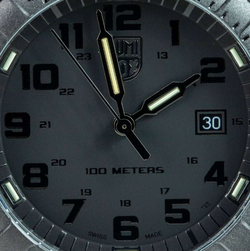 Luminox Leatherback Sea Turtle Giant XS.0321.BO.L