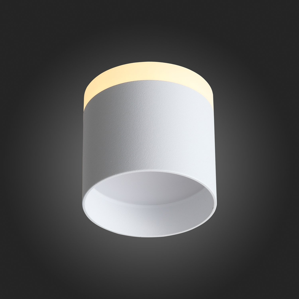ST102.502.09 Светильник потолочный Белый LED 1*9W 3000K 702Lm Ra&gt;80 120° IP20 D79xH75 170-240V Накладные светильники
