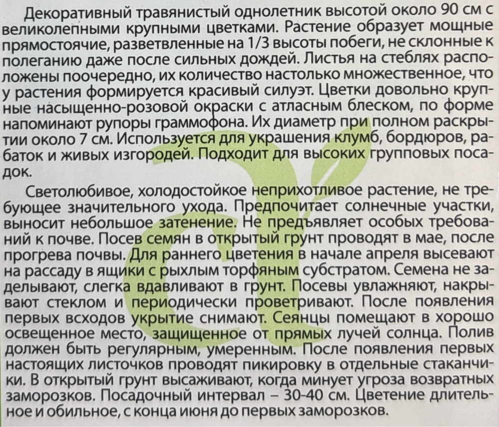 Малопа Розовая фантазия 0,5 г СМЦ-643