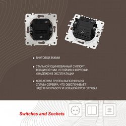 Выключатель одноклавишный без рамки Arte Milano 203 203.30-1.shampan