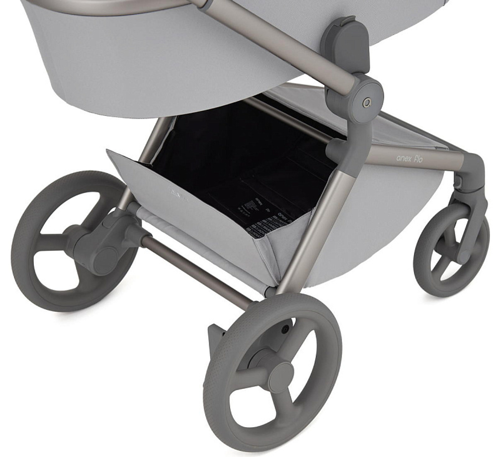 Детская коляска Anex Flo 2 в 1 Frossy