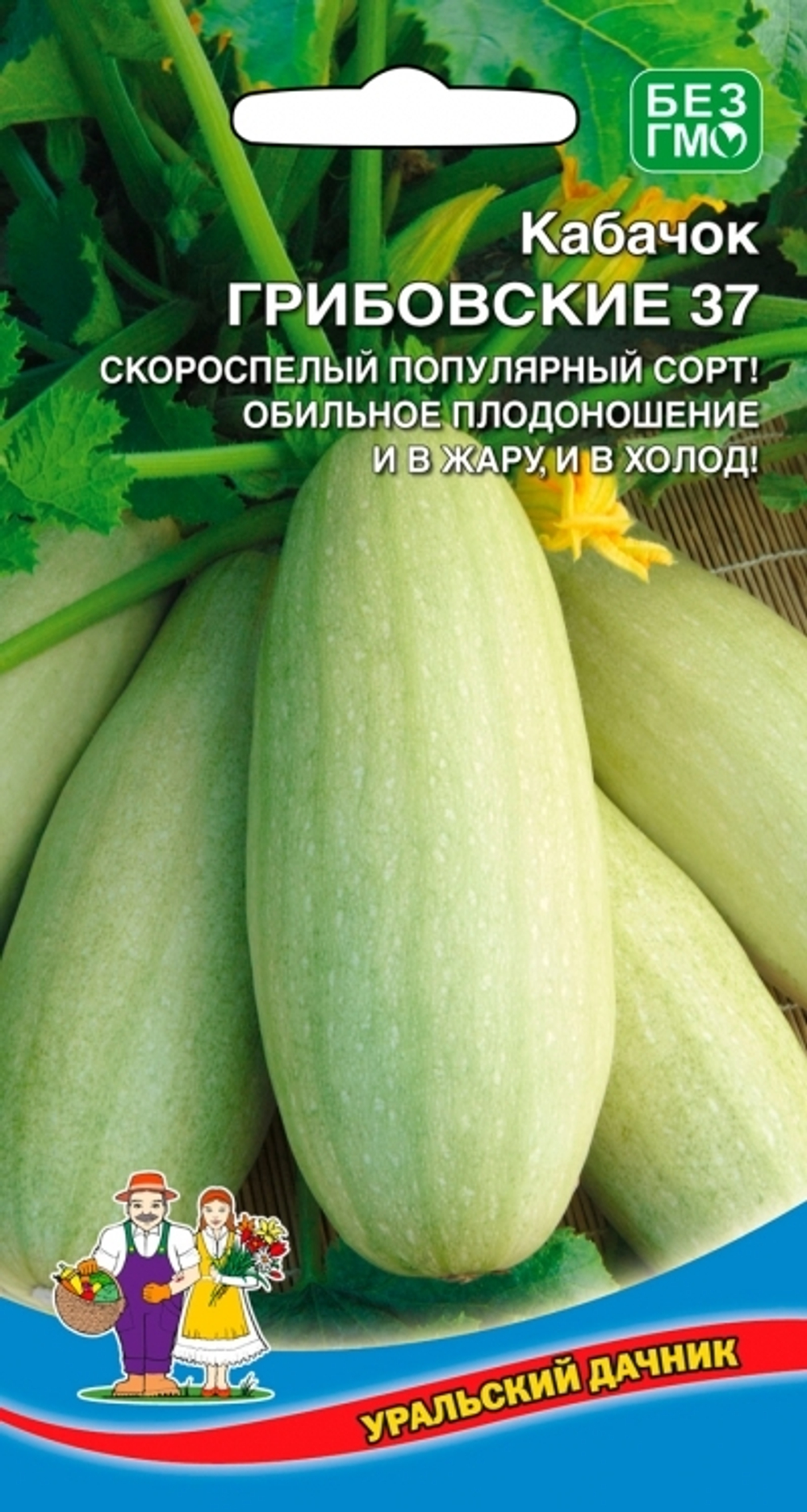 кабачок Грибовские 37