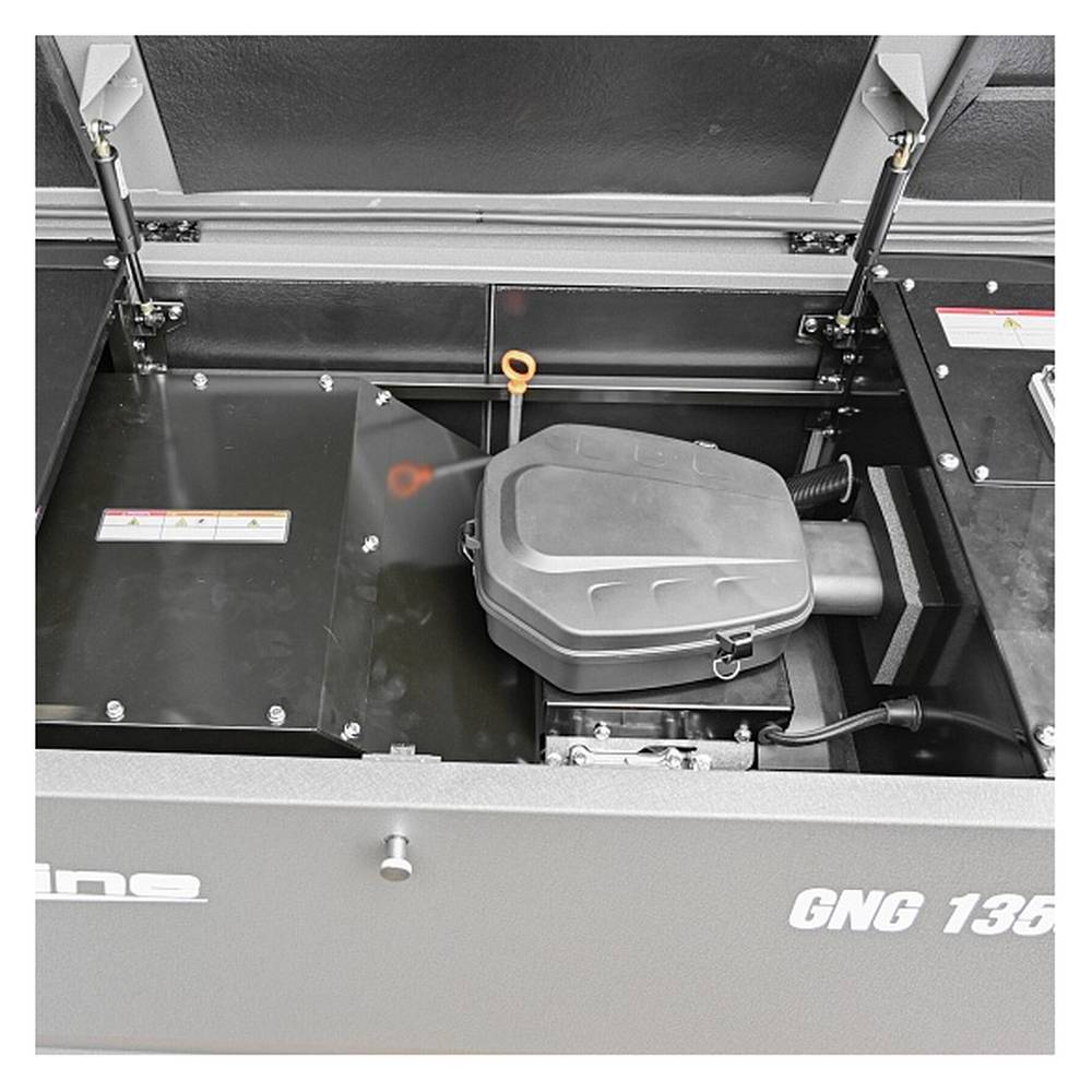 Генератор газовый EVOline GNG 13500 E (адаптированный)