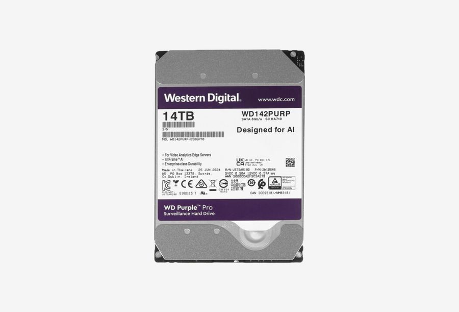 WD142PURP_0126522103646