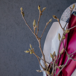 174. Магнолия (ветка / букет)