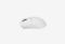 Shark X3 Max White_0426522101915