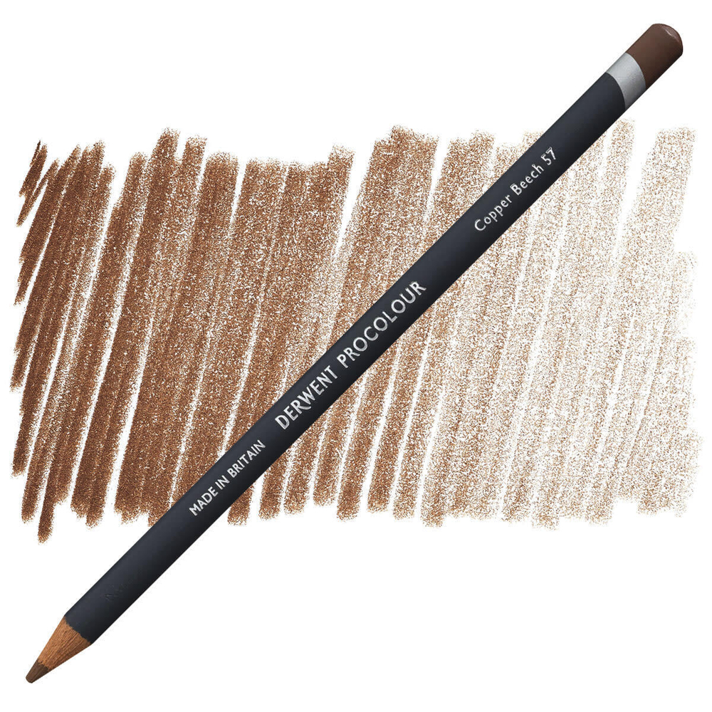 Derwent Procolour. 57 Copper Beech