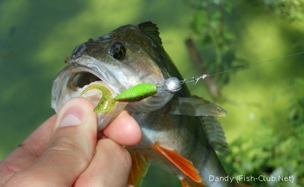 Мягкая приманка Lucky John J.I.B TAIL 1.5in (38 мм), цвет S21, 15 шт/уп