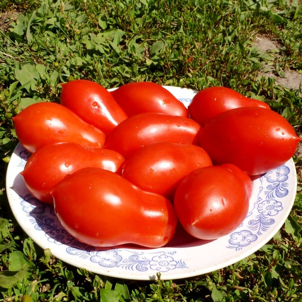 Помидоры для пиццы Сан Марзано