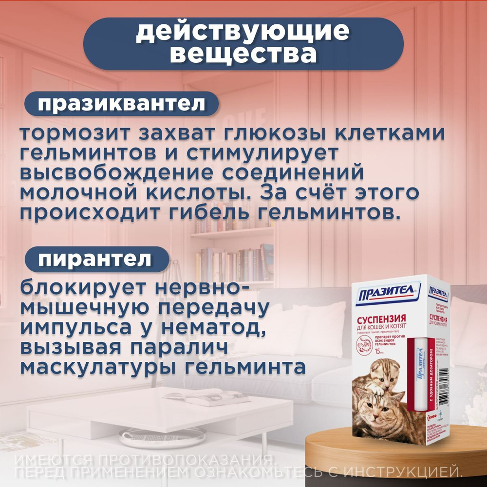 Суспензия от гельминтов для кошек и котят Празител, 15мл Празиквантел/Пирантел