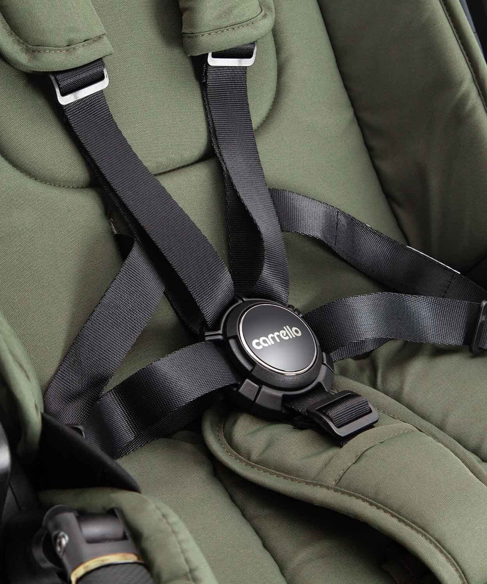Коляска 2 в 1 Carrello Vector CRL-6551