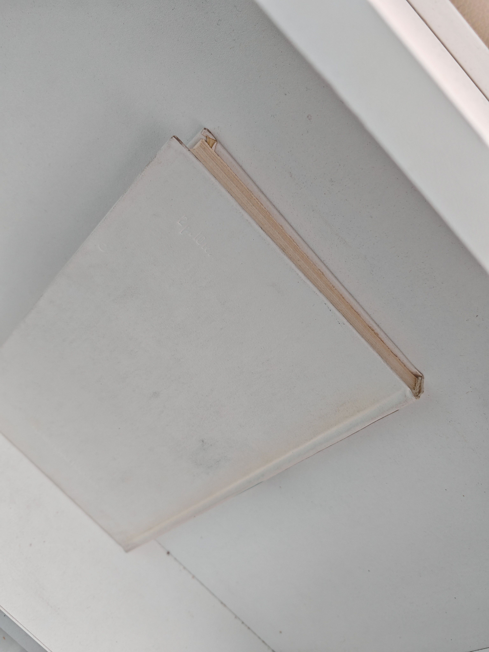 Вопросы, заданные жизнью