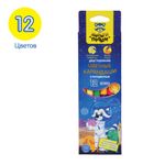 Карандаши цветные Мульти-Пульти "Енот в космосе", 12цв., 06шт., двусторонние, утолщенные, заточен., европодвес