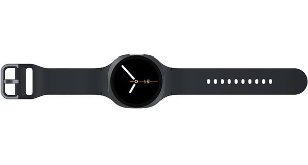 Умные часы Samsung Galaxy Watch8 40 мм Wi-Fi + LTE гарфит (SM-L325)
