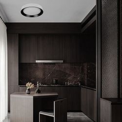 Накладной светильник Loft it Coin 10202 WB