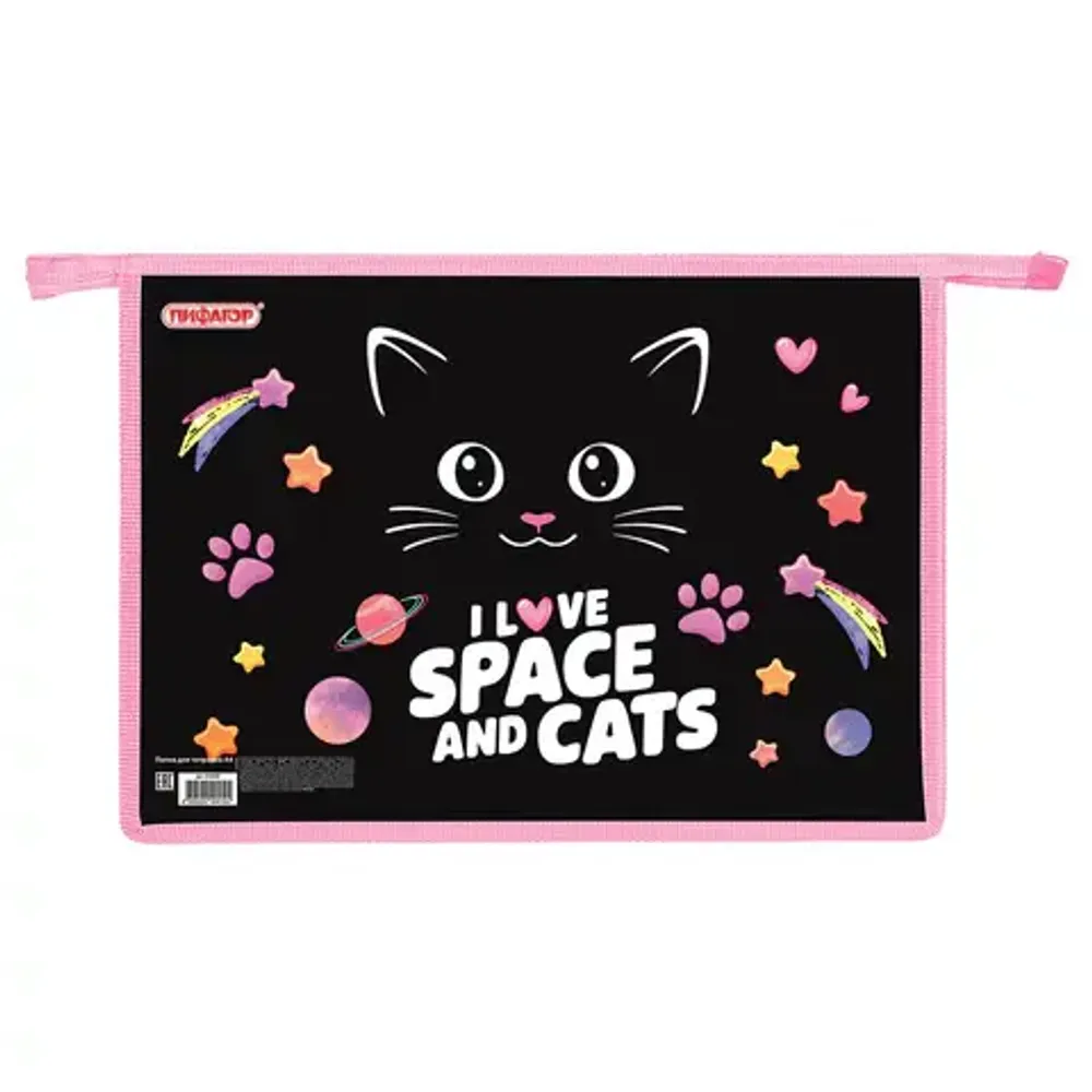 Папка для тетрадей 1 отделение А4 на молнии Пифагор Dark kitten, пластик