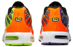 Кроссовки Nike Air Max Plus Color Flip