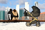 Детская коляска Reindeer Raven 3 в 1 (Черный)