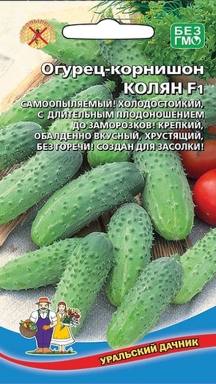 Огурец "G. Колян F1" 10шт., Россия.