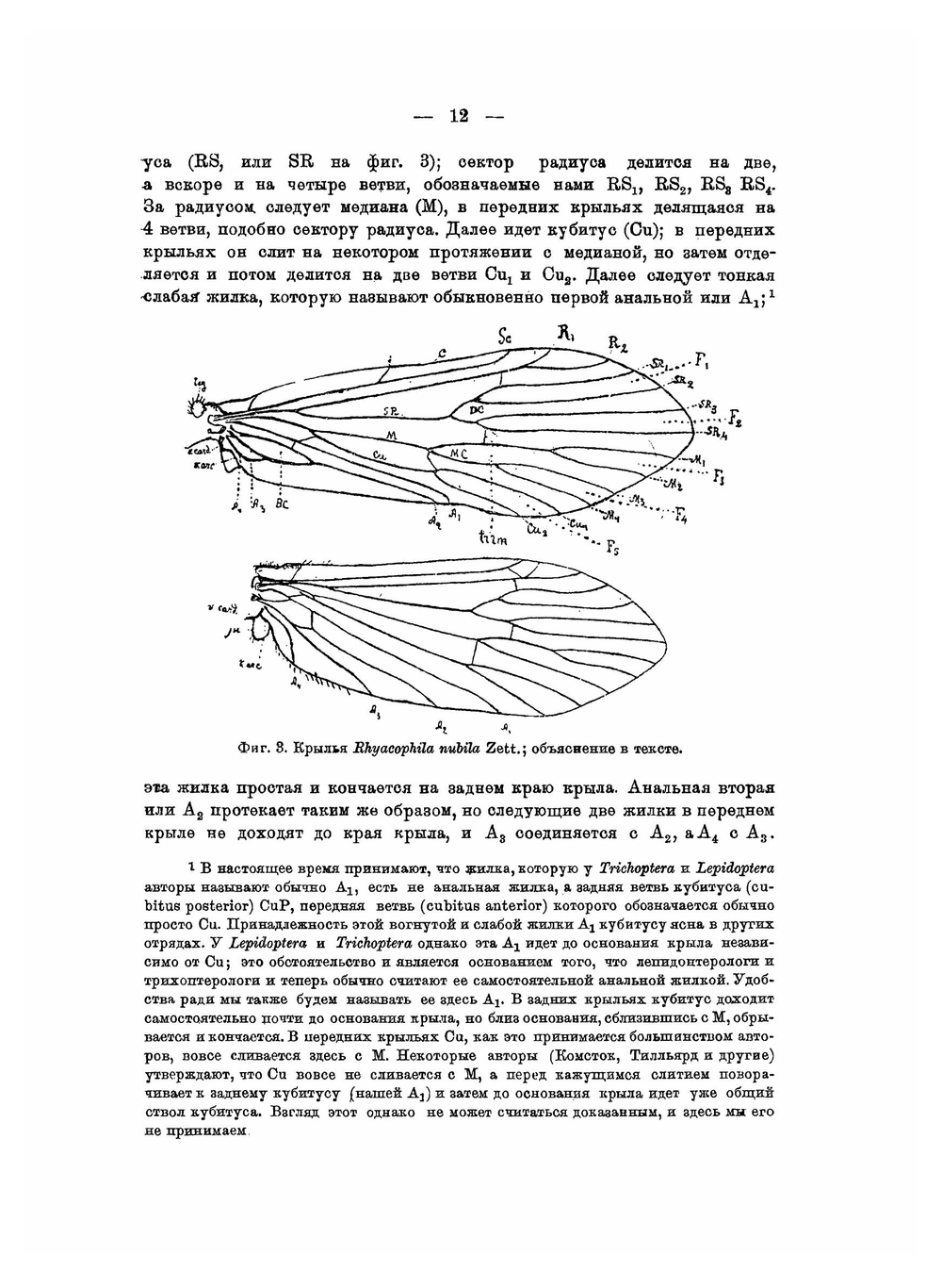 Определители по фауне СССР. Том 13. Ручейники Trichoptera Annulipalpia. Часть 1. | А. Мартынов