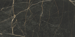 60x120 MarbleS Порт Лорен Лаппато R9