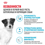 Royal Canin Mini Starter Корм сухой для собак мелких пород в конце беременности в период лактации для щенков в период отъема до 2-х месяцев 3 кг
