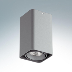 Накладной светильник Lightstar Monocco 052139