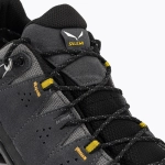 Ботинки Salewa Alp Trainer 2 GTX onyx/black