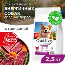 Корм сухой для взрослых собак средних пород, премиум полнорационный комплекс, для активных и энергичных, с говядиной, 2,5 кг, QUATTRO