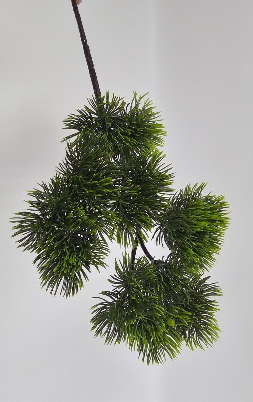 Бонсай темный / Арт 5089