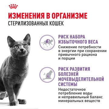 Royal Canin Sterilised влажный корм в соусе для стерилизованных кошек и кастрированных котов старше 1 года 85 гр
