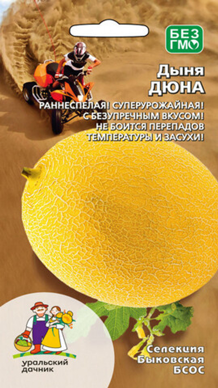 Дыня "G. Дюна" 10шт., Россия.