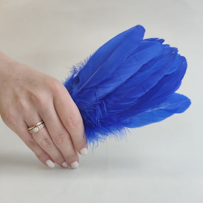 Гусиные перья синие 2 сорт 100 шт.