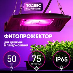 Фитопрожектор для растений светодиодный ЭРА FITO-50W-LED-BLUERED для цветения и плодоношения 50Вт красно-синего спектра
