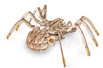 Конструктор деревянный 3D EWA SPIDER (Паук)
