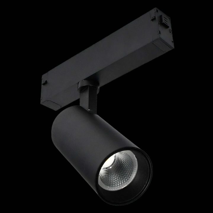 Трековый светильник ST LUCE SKYLINE 220 ST660.496.10H