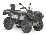 Квадроцикл BALTMOTORS Striker 700 EFI