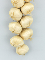 Чеснок деревенский