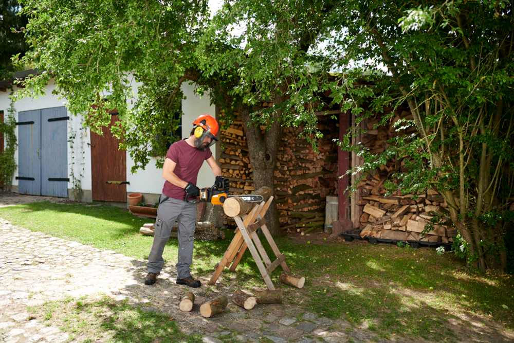 Пила сетевая WORX WG307E JawSaw