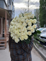 Белая роза сорт «Мондиаль» (Эквадор)