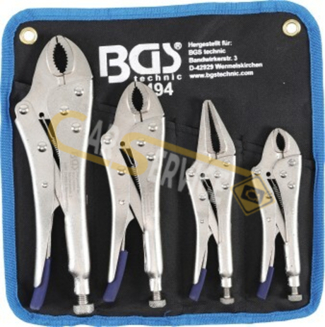 BGS - 494