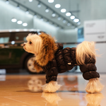 442 PA-OW Комбинезон зимний, унисекс