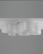 Потолочный светильник Moderli MASSA V11398-5C